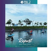 a group of people on paddleboards on a lake